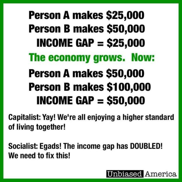 Capitalist Socialist